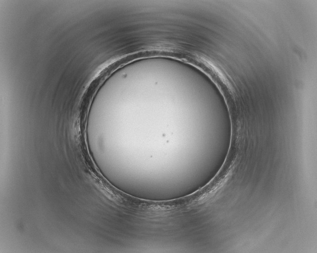 X0000116290923200911301416