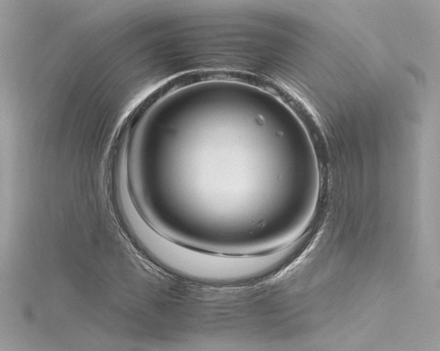 X0000116290925200911301416