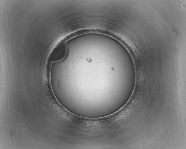 X0000116290927200911301416