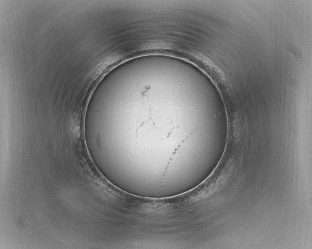 X0000116290929200911301416