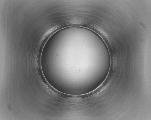 X0000116290930200911301416