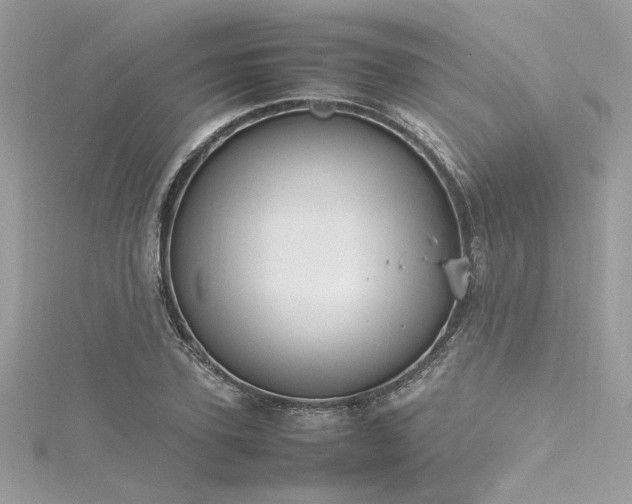 X0000116290931200911301416