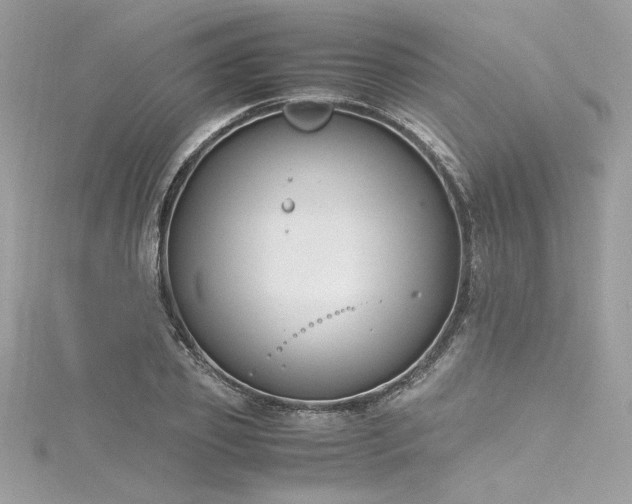 X0000116290933200911301416