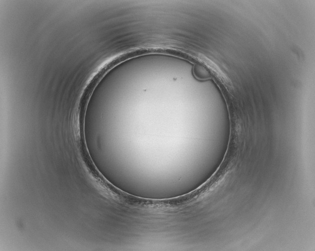 X0000116290934200911301416