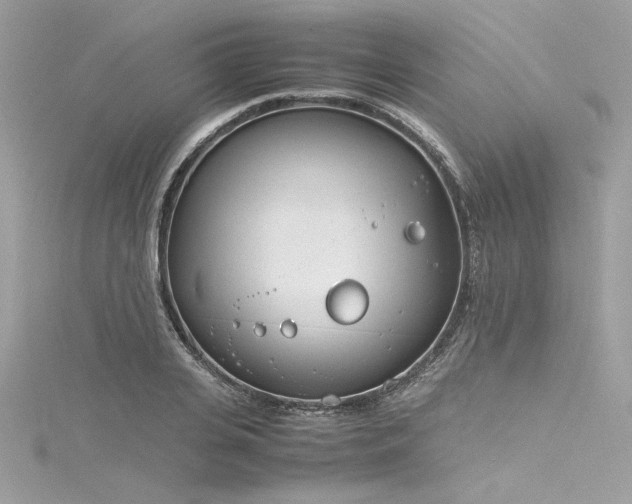 X0000116290935200911301416