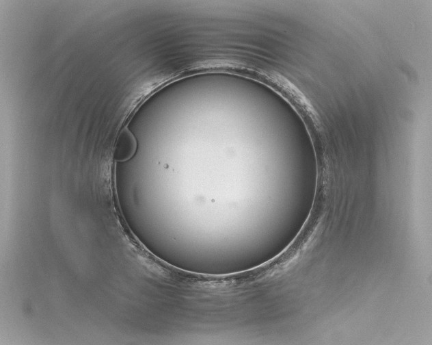 X0000116290937200911301416