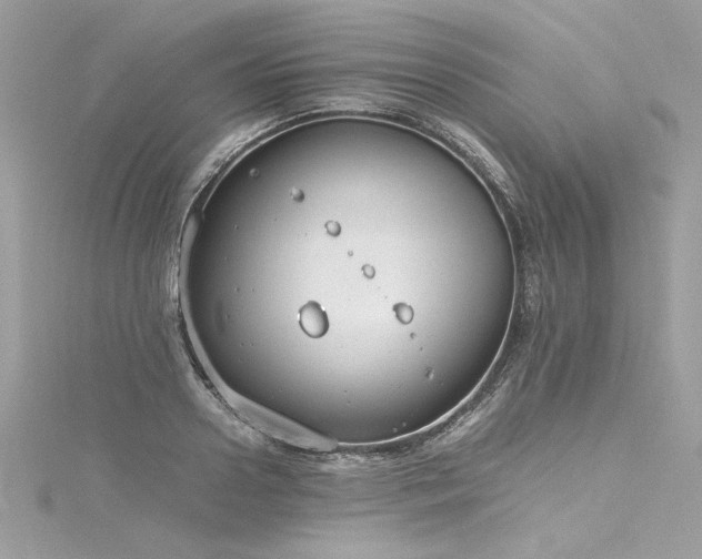 X0000116290938200911301416