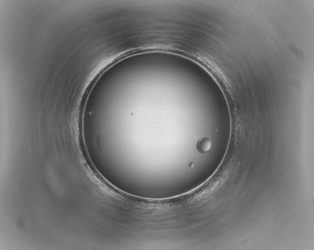 X0000116290941200911301416