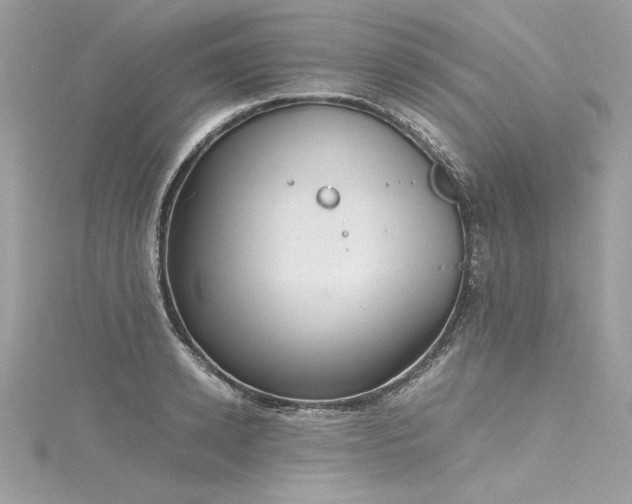 X0000116290942200911301416