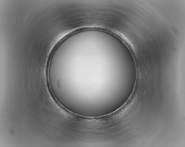 X0000116290943200911301416