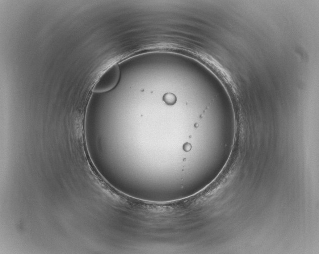 X0000116290945200911301416