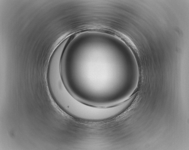 X0000116290946200911301416