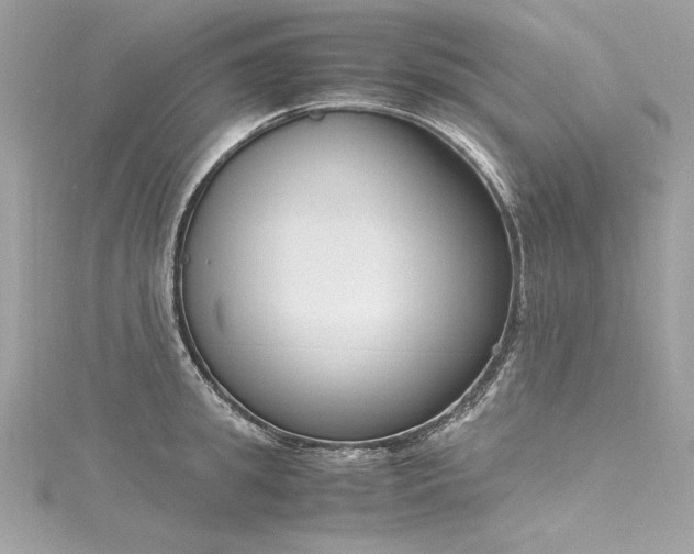 X0000116290949200911301416