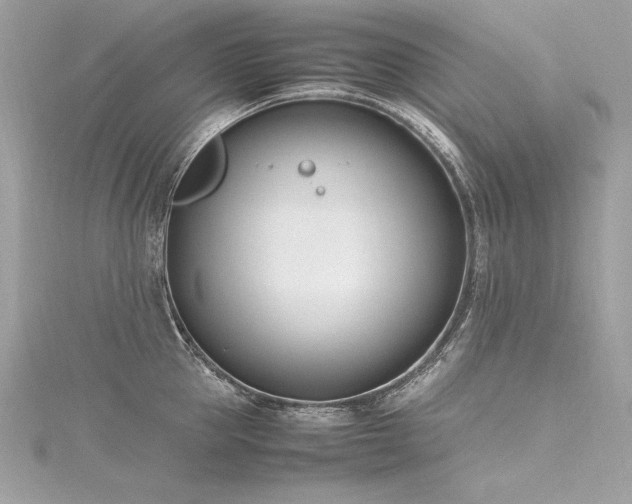 X0000116290953200911301416