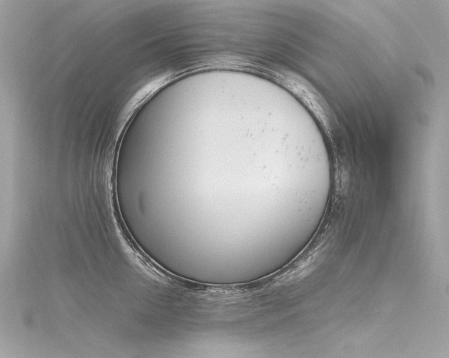 X0000116290954200911301416