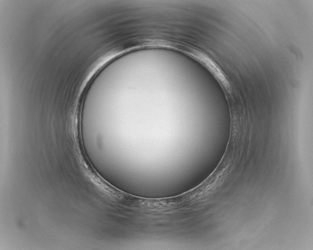 X0000116290955200911301416