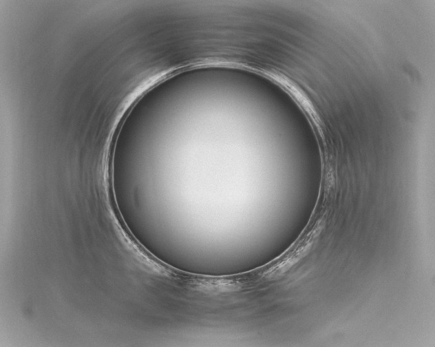 X0000116290957200911301416