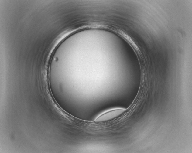 X0000116290959200911301416