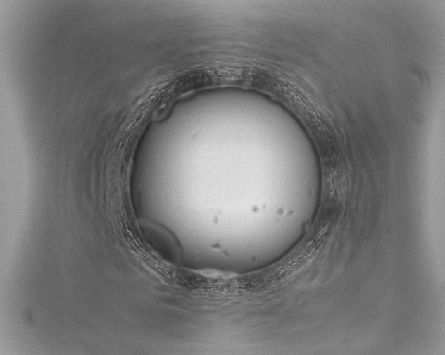 X0000116290961200911301415