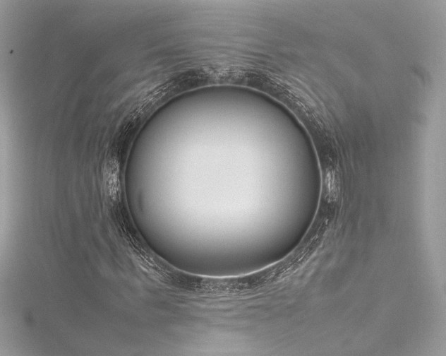 X0000116290963200911301415