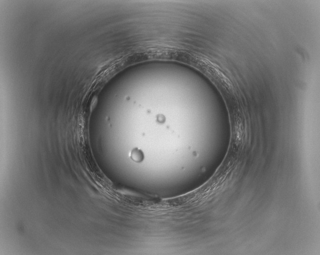 X0000116290964200911301415