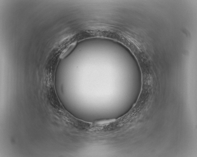 X0000116290965200911301415