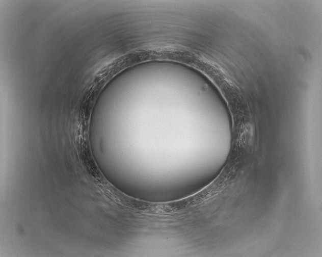 X0000116290966200911301415