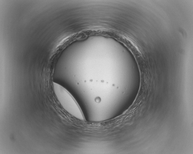 X0000116290968200911301415