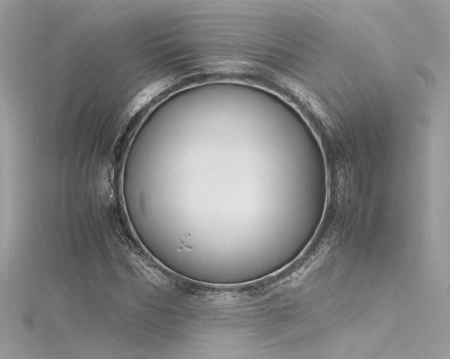 X0000116290970200911301415