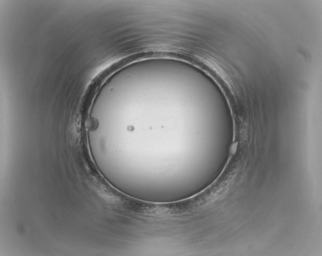 X0000116290971200911301415