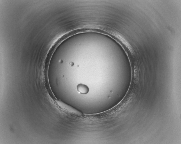 X0000116290972200911301415