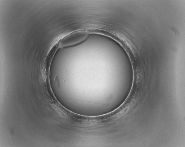 X0000116290973200911301415