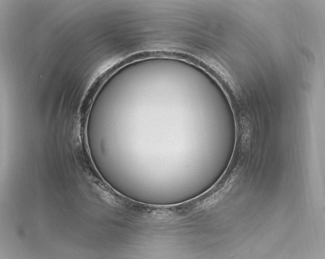 X0000116290974200911301415