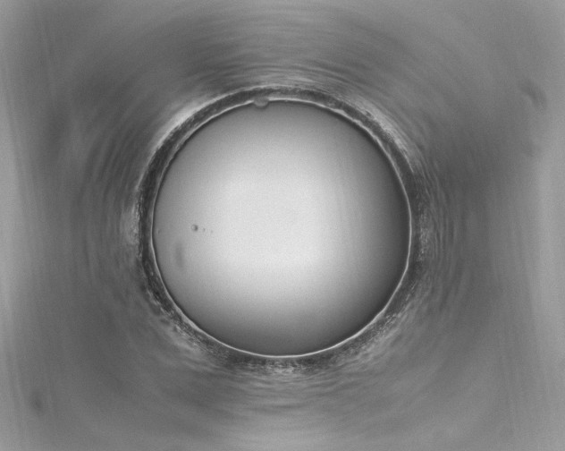 X0000116290975200911301415