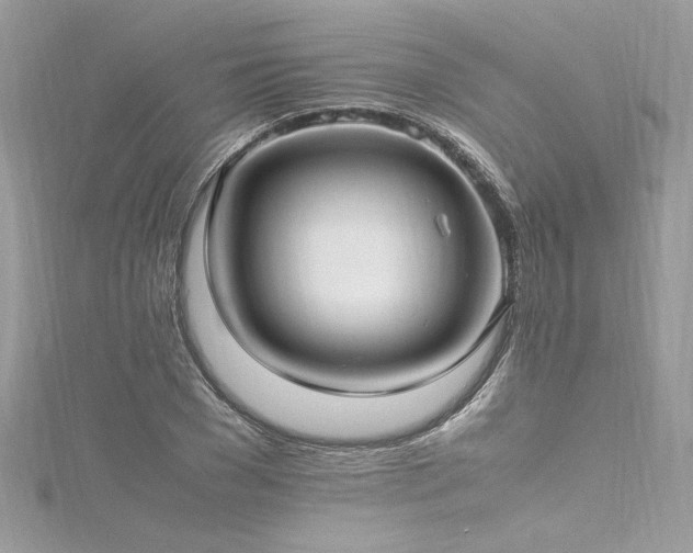 X0000116290977200911301415