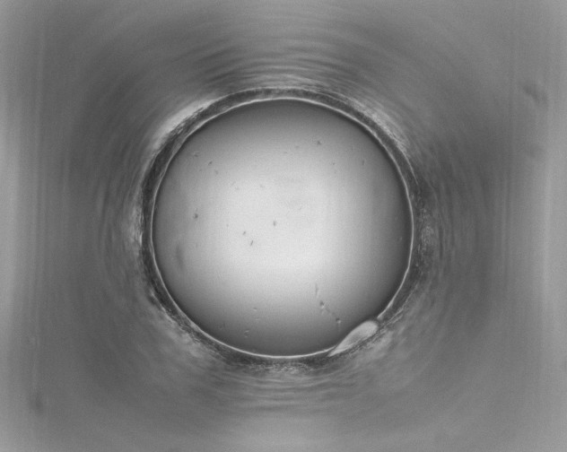 X0000116290979200911301415