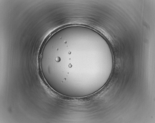 X0000116290980200911301415