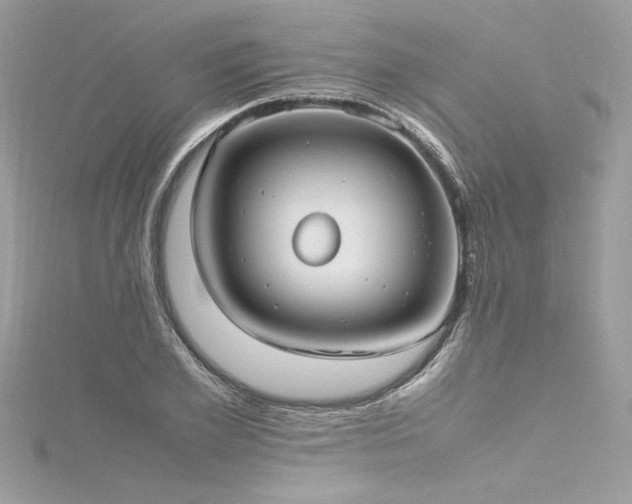 X0000116290981200911301415