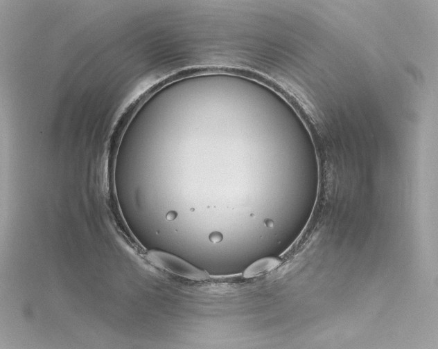 X0000116290982200911301415