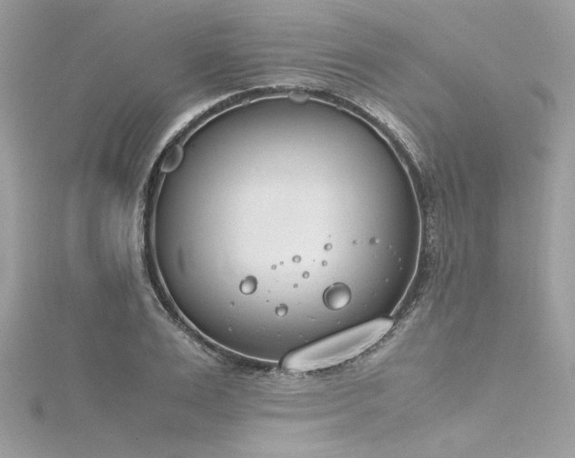 X0000116290983200911301415