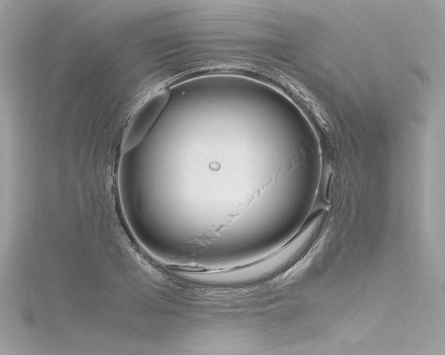 X0000116290985200911301415