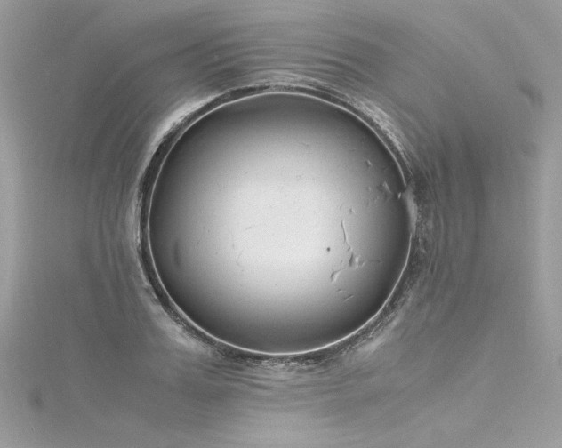 X0000116290987200911301415