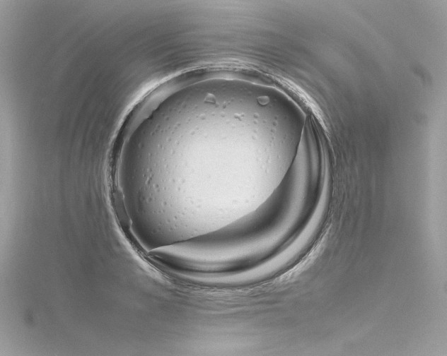 X0000116290989200911301415