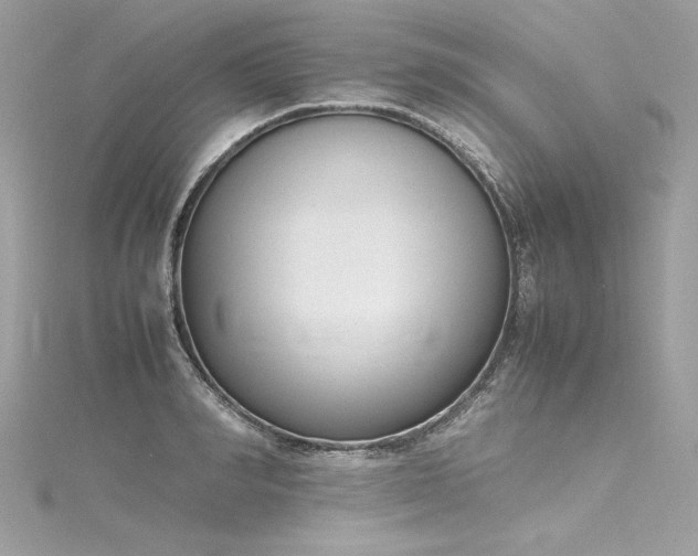 X0000116290990200911301415