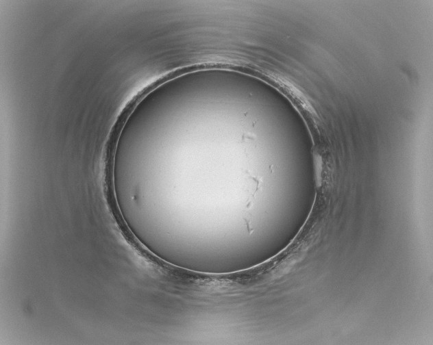 X0000116290991200911301415