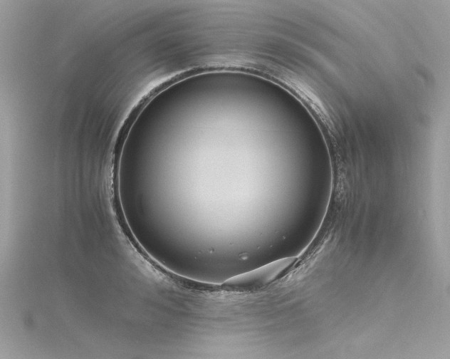 X0000116290992200911301415