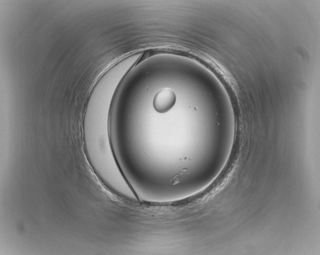 X0000116290993200911301415