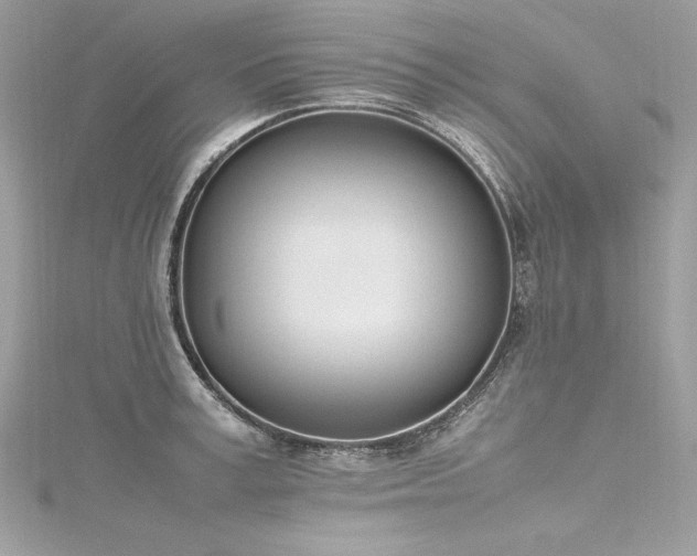 X0000116290995200911301415