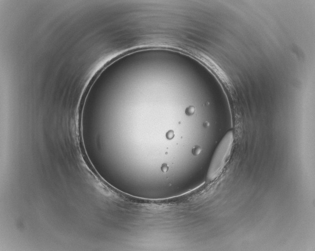 X0000116290996200911301415