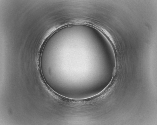 X0000116290997200911301415